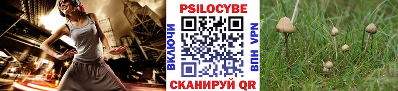 купить закладку  Бирюч  Галлюциногенные грибы мухоморы 